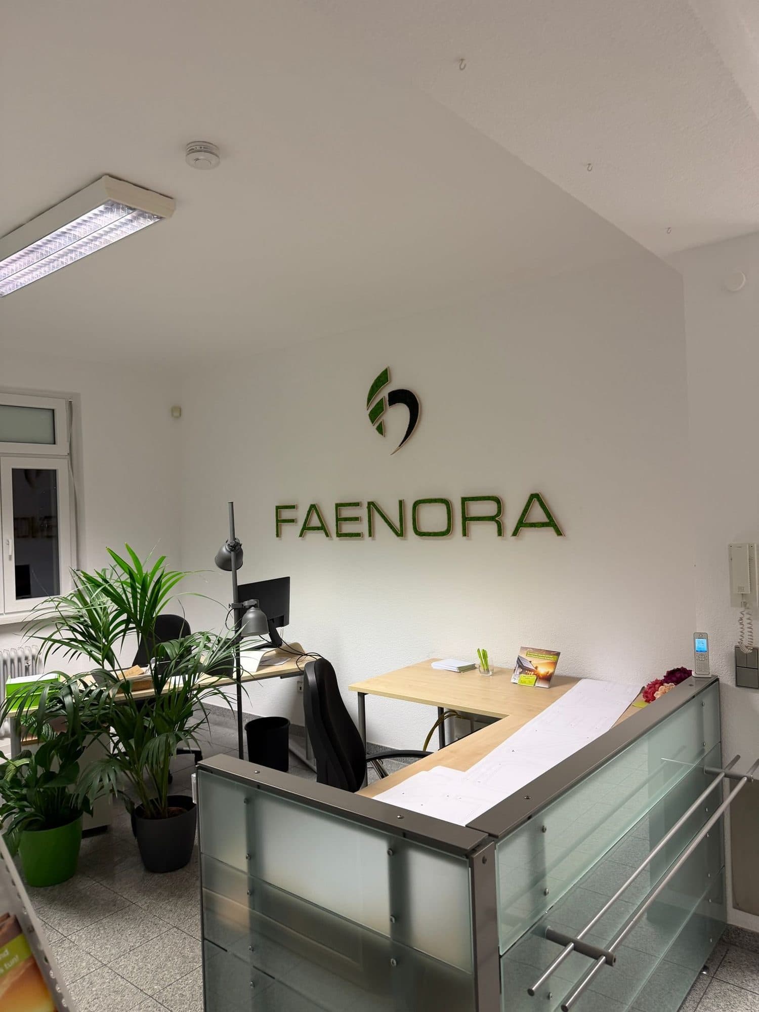 Empfang im FAENORA-Büro mit Logo an der Wand und Pflanzen